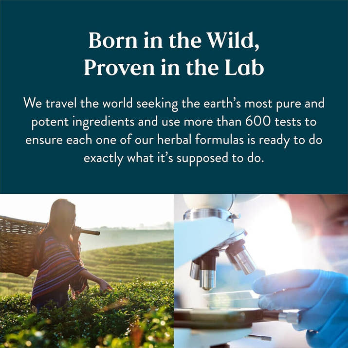 Mivya Lymphatic Drainage