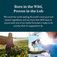 Mivya Lymphatic Drainage